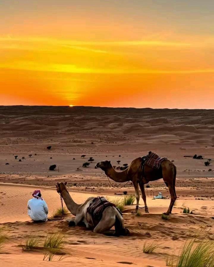 Safari Desert Camp Shahiq Exterior photo